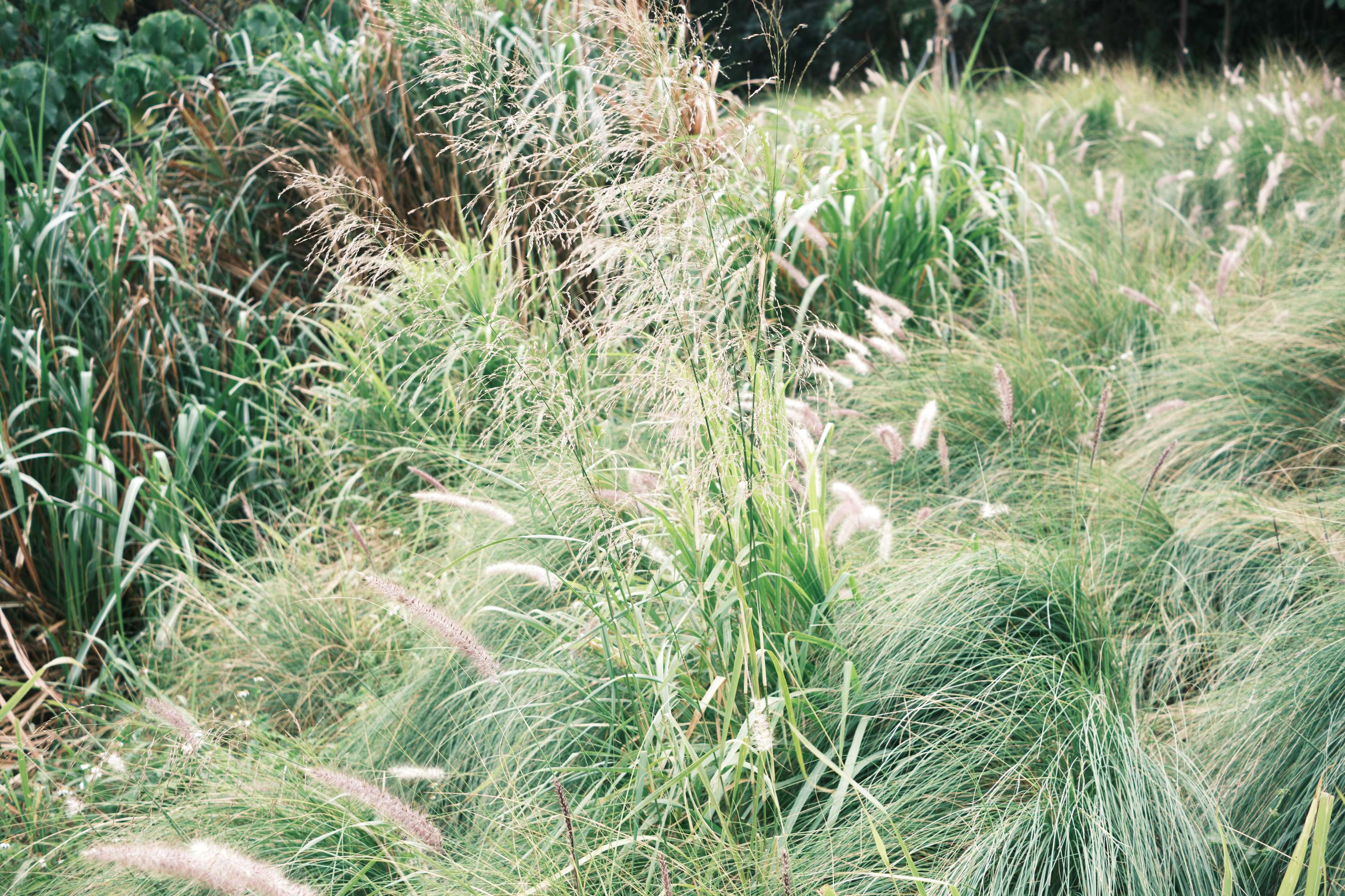 深圳大鹏东西涌